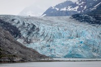 Lamplugh Glacier in Glacier Bay National Park