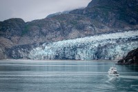 Lamplugh Glacier in Glacier Bay National Park