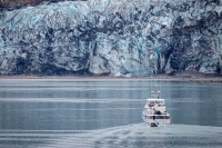 Lamplugh Glacier in Glacier Bay National Park