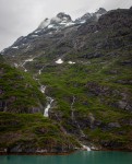 In Glacier Bay National Park