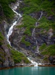 In Glacier Bay National Park