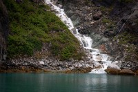 In Glacier Bay National Park