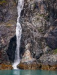 In Glacier Bay National Park