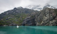 In Glacier Bay National Park