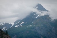 In Glacier Bay National Park