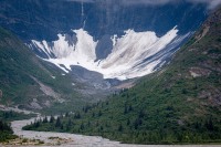 In Glacier Bay National Park