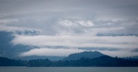 In Glacier Bay National Park