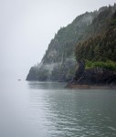 In Kenai Fjords National Park