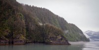 In Kenai Fjords National Park