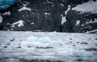 Aiakli Glacier in Kenai Fjords National Park