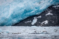 Aiakli Glacier in Kenai Fjords National Park