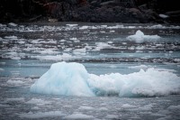 Aiakli Glacier in Kenai Fjords National Park