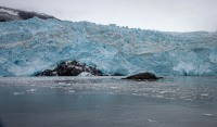 Aiakli Glacier in Kenai Fjords National Park