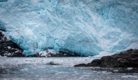 Aiakli Glacier in Kenai Fjords National Park