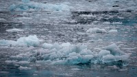 Aiakli Glacier in Kenai Fjords National Park