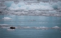 Aiakli Glacier in Kenai Fjords National Park