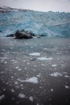 Aiakli Glacier in Kenai Fjords National Park