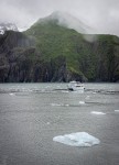 In Kenai Fjords National Park