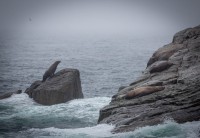 In Kenai Fjords National Park