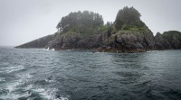 In Kenai Fjords National Park