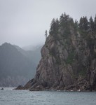 In Kenai Fjords National Park