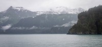 In Kenai Fjords National Park