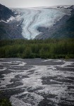 Exit Glacier in Seward