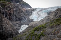 Exit Glacier in Seward