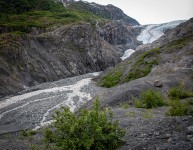 Exit Glacier in Seward