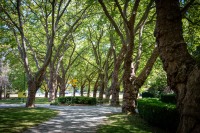 In Stanley Park, Vancouver