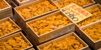 Sea urchin at Tsukiji Fish Market