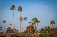 Balloons over Sun City West