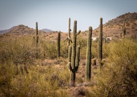 Hiking the Slate Trail at Cave Creek Park in Cave Creek AZ