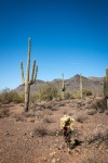 Hiking the Slate Trail at Cave Creek Park in Cave Creek AZ