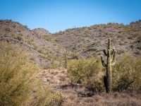 Hiking the Slate Trail at Cave Creek Park in Cave Creek AZ