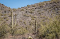 Hiking the Slate Trail at Cave Creek Park in Cave Creek AZ