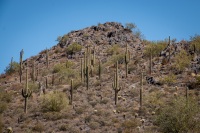 Hiking the Slate Trail at Cave Creek Park in Cave Creek AZ