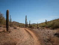 Hiking the Slate Trail at Cave Creek Park in Cave Creek AZ