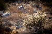 Hiking the Waterfall Trail in White Tank Mointain Regional Park in Waddell, AZ