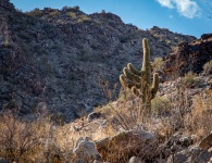 Hiking the Waterfall Trail in White Tank Mointain Regional Park in Waddell, AZ