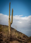 Hiking the Waterfall Trail in White Tank Mointain Regional Park in Waddell, AZ