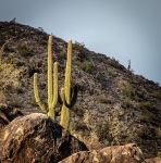 Hiking the Waterfall Trail in White Tank Mointain Regional Park in Waddell, AZ