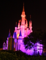 Cinderella's Castle at night