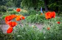 Botanical Garden in Zagreb