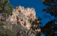 Along the Devil's Hall Trail