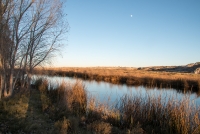 Pecos River BLM area in Carlsbad