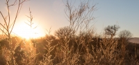 Pecos River BLM area in Carlsbad