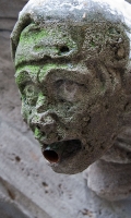 Munich: Rathaus Gargoyle