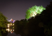 Everest and the Tree of Life