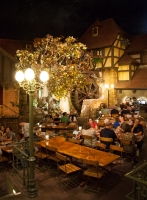 Inside the Biergarten